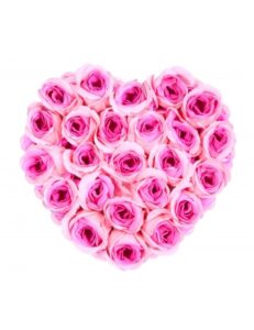 Cœur de Roses Tendresse Infinie – Roses Rose Poudré