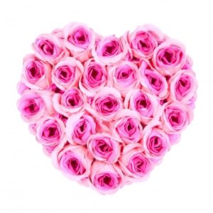 Cœur de Roses Tendresse Infinie – Roses Rose Poudré